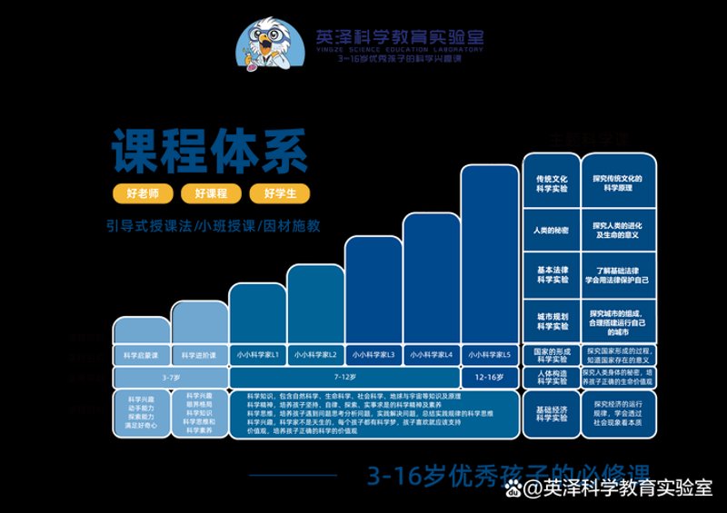 山东教育咨询